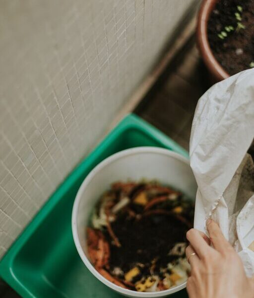 Beginner Tips for Composting at Home